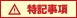 特記事項
